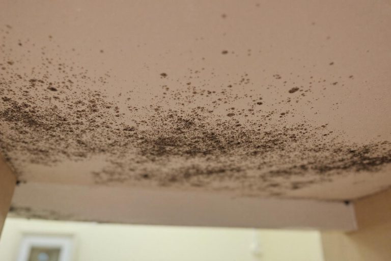 J'ai de la moisissure au plafond de ma salle de bain malgré la VMC...